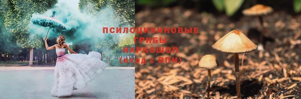 прущие грибы Абинск