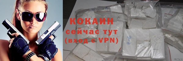 прущие грибы Абинск
