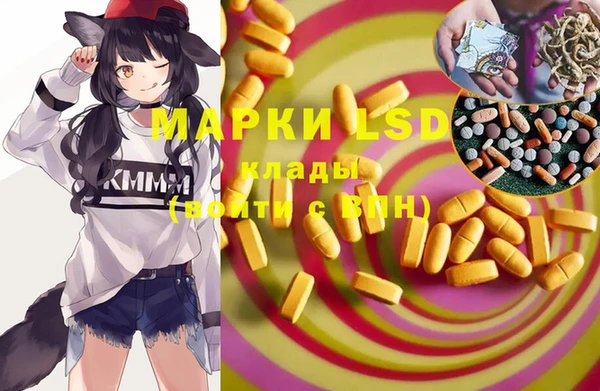 прущие грибы Абинск