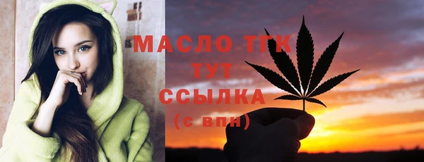 тгк Абаза