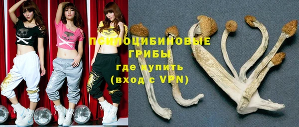 молекула духа Алексеевка