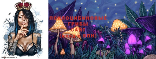 молекула духа Алексеевка